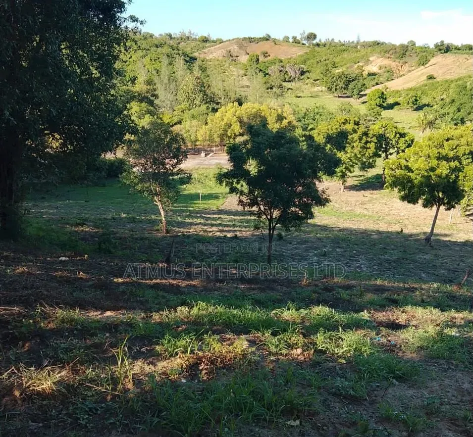 Mtwapa 3 Acres In Beautiful Location For Sale in Mtwapa