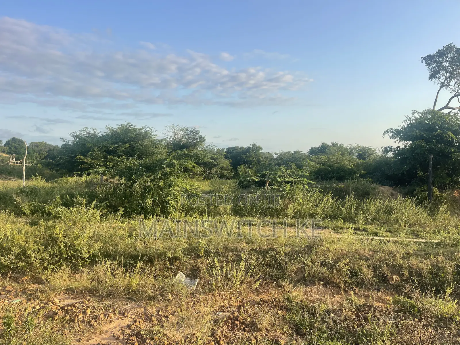 50 Acres at Only 5,000,000 in Marafa
