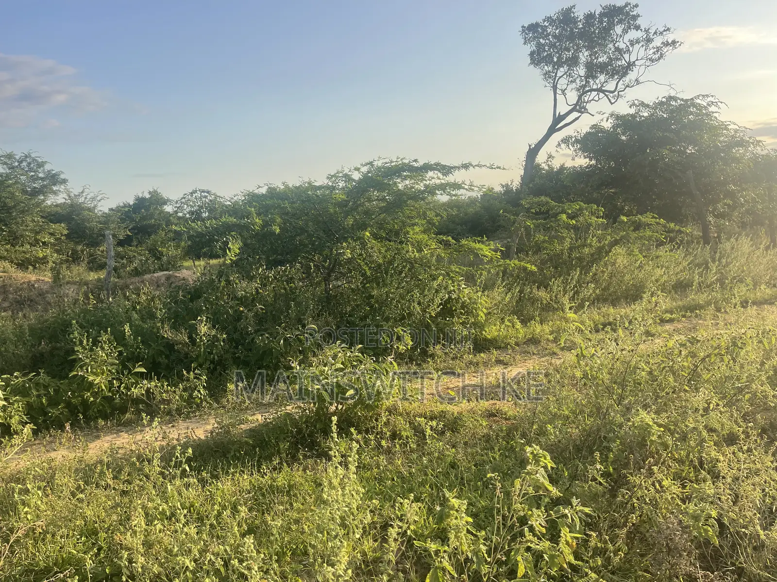 50 Acres at Only 5,000,000 in Marafa