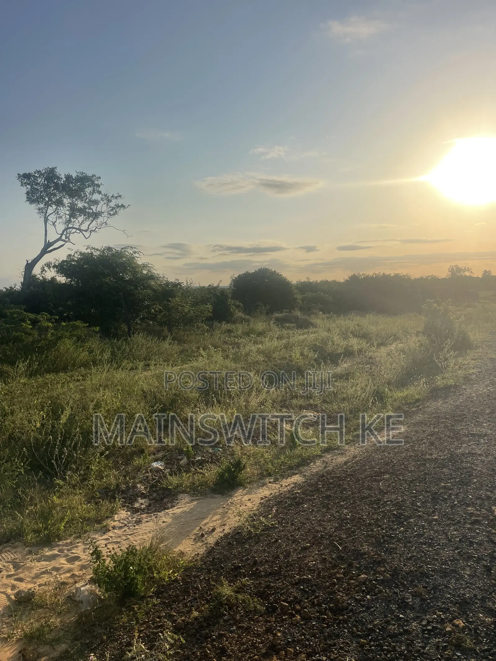 Quarter an Acre at Touching Tarmac Road. in Marafa