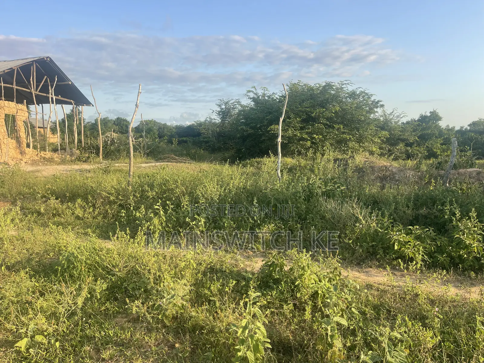 Quarter an Acre at Touching Tarmac Road. in Marafa
