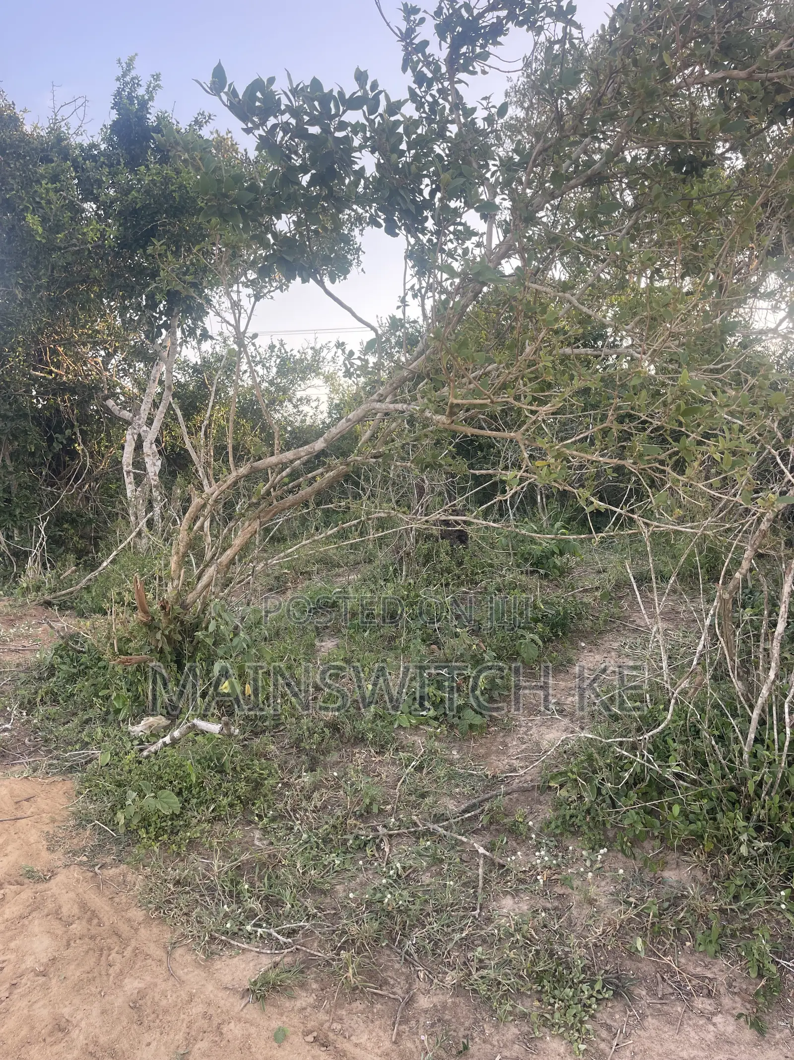 31 Acres for Sale Waiting for Tittle Deed in Marafa