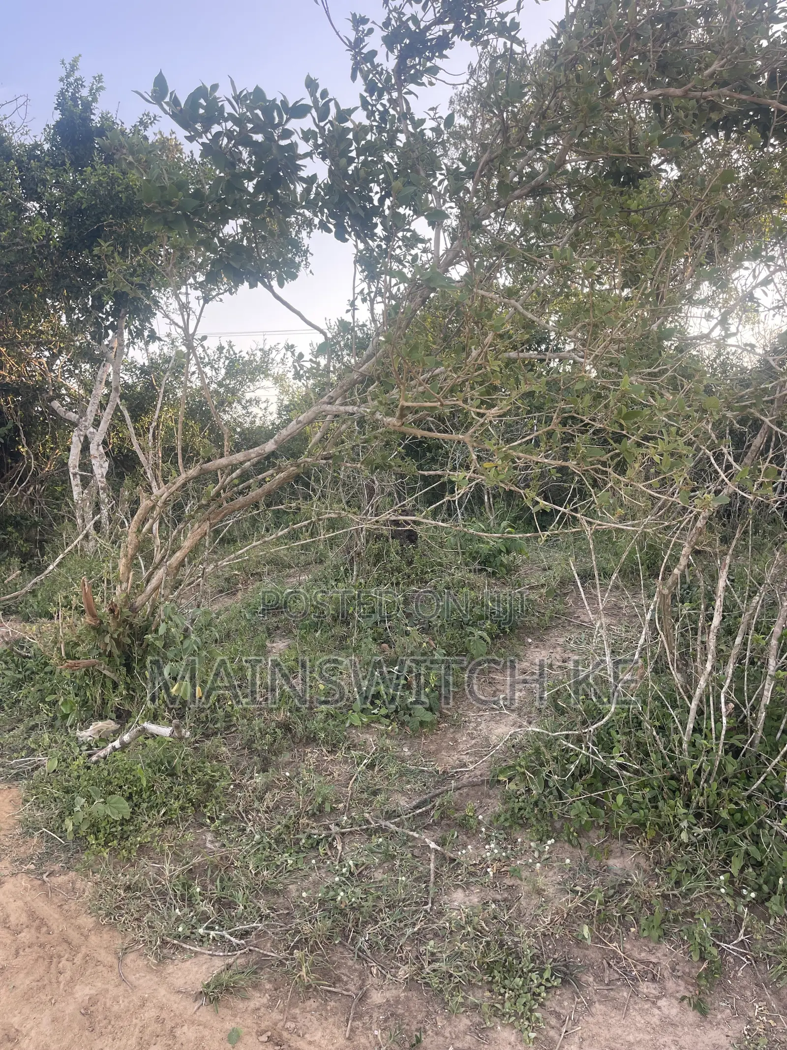 31 Acres for Sale Waiting for Tittle Deed in Marafa
