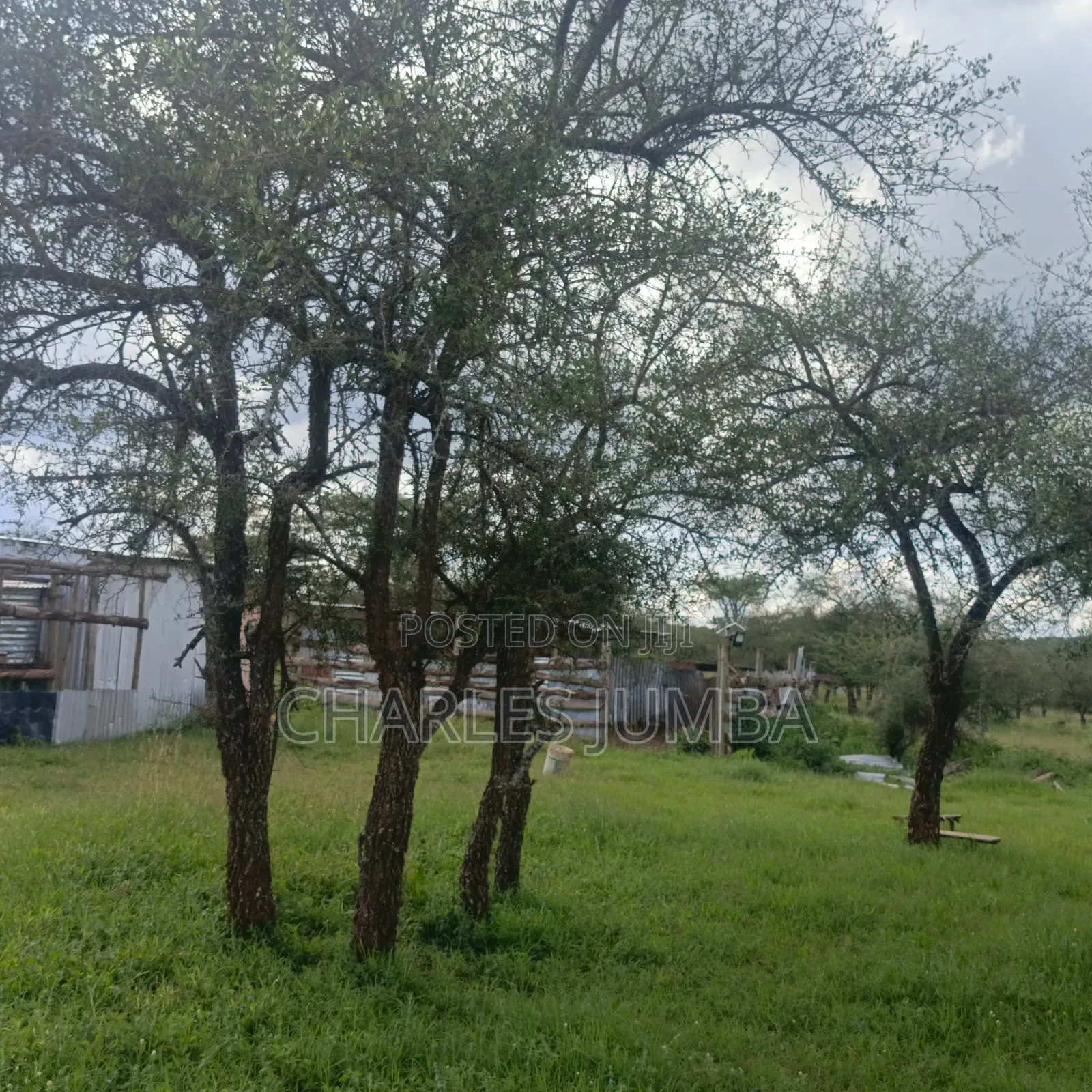 1 Acre in Kajiado in Kajiado CBD