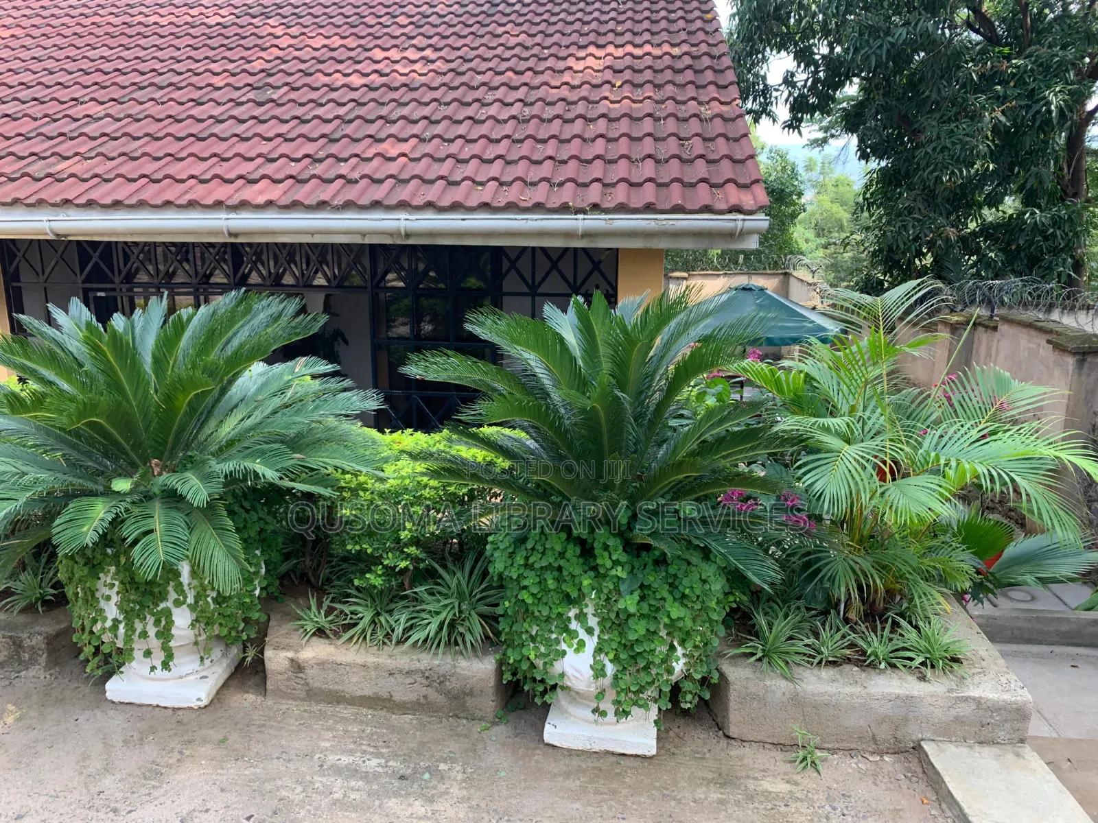 Furnished 4bdrm Mansion in Lolwe for sale in Lolwe