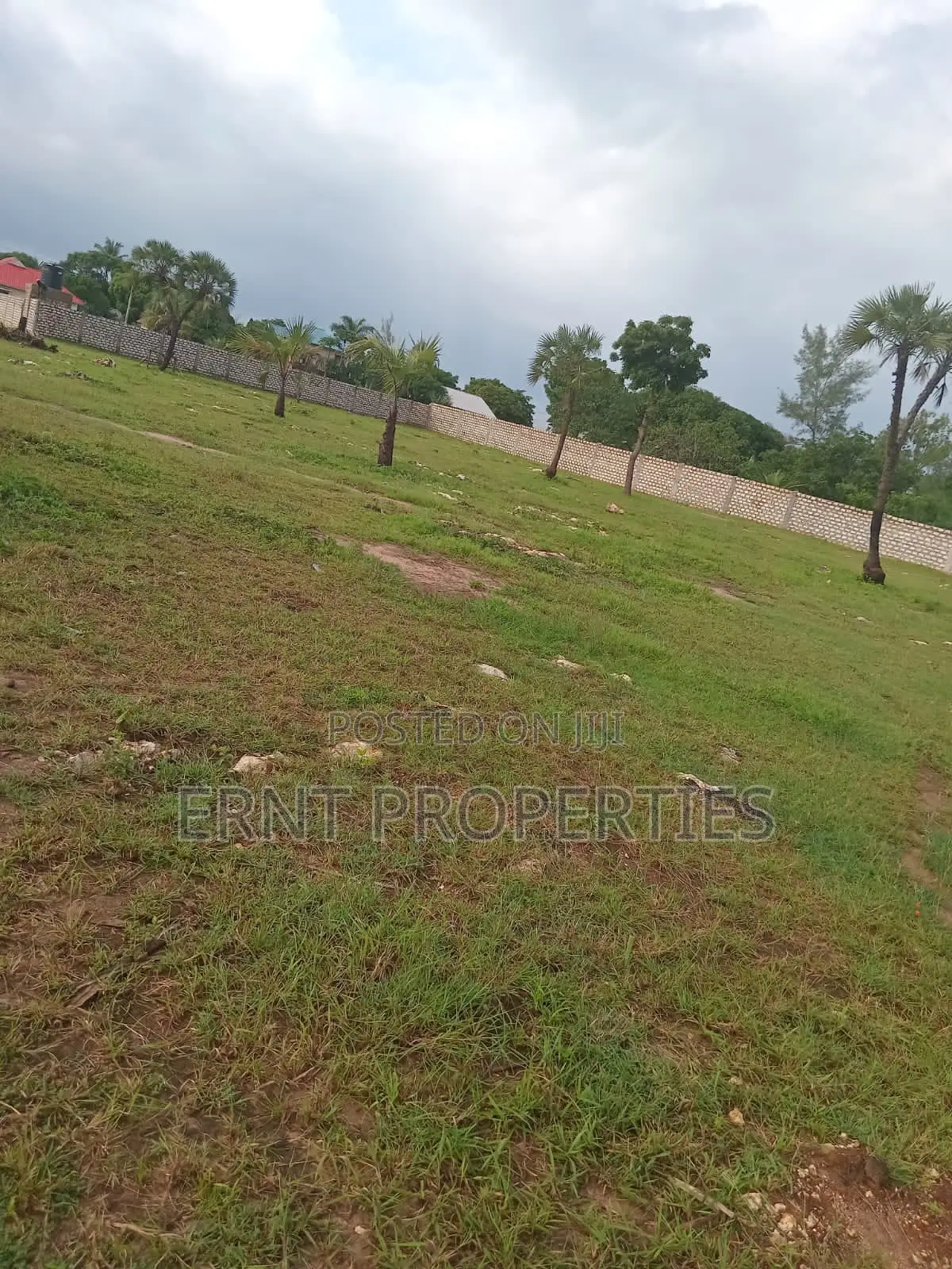 Prime 1.25 Acres for Sale in Diani -15 Minutes to the Beach in Diani