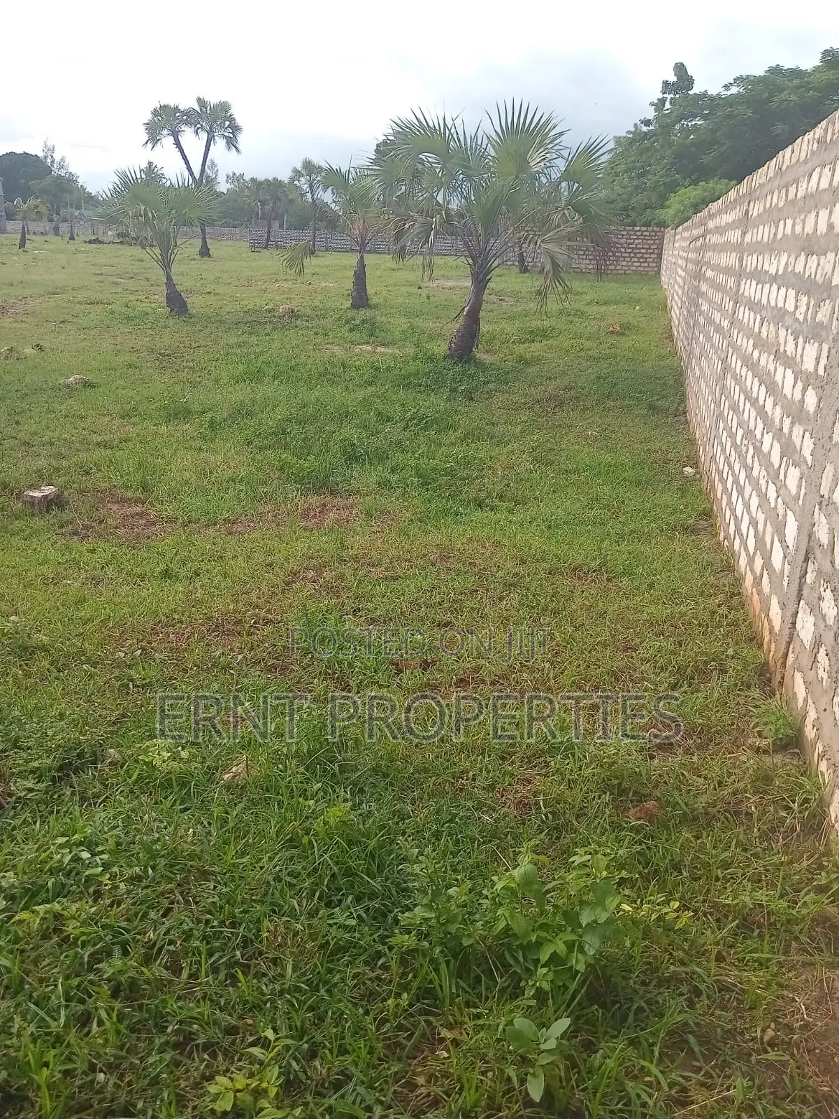 Prime 1.25 Acres for Sale in Diani -15 Minutes to the Beach in Diani