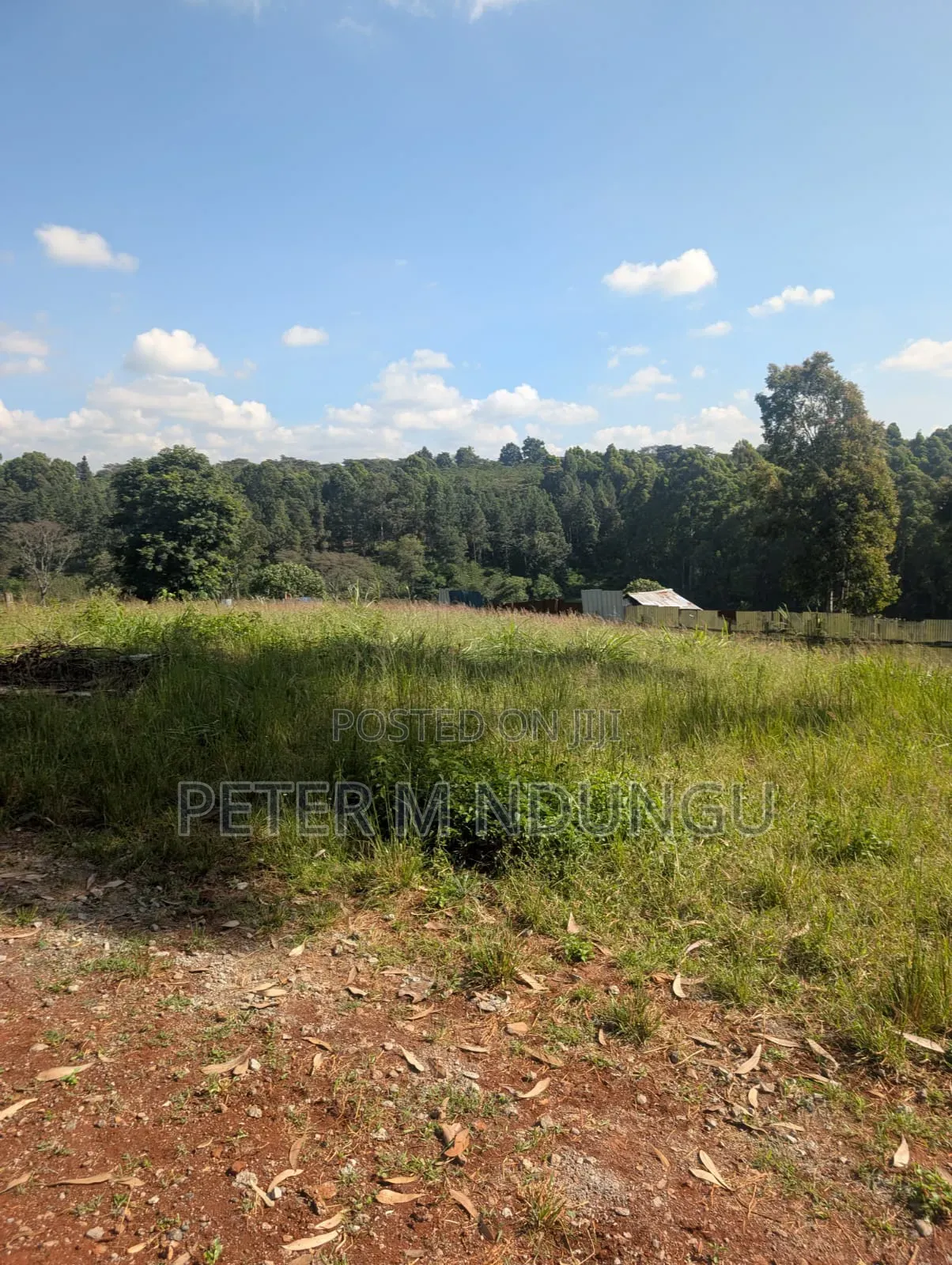 Muthithi-Njathaini Rd, Valley View Estate Opposite Kist, 1/2 Acre in Thindigua/Kasarini