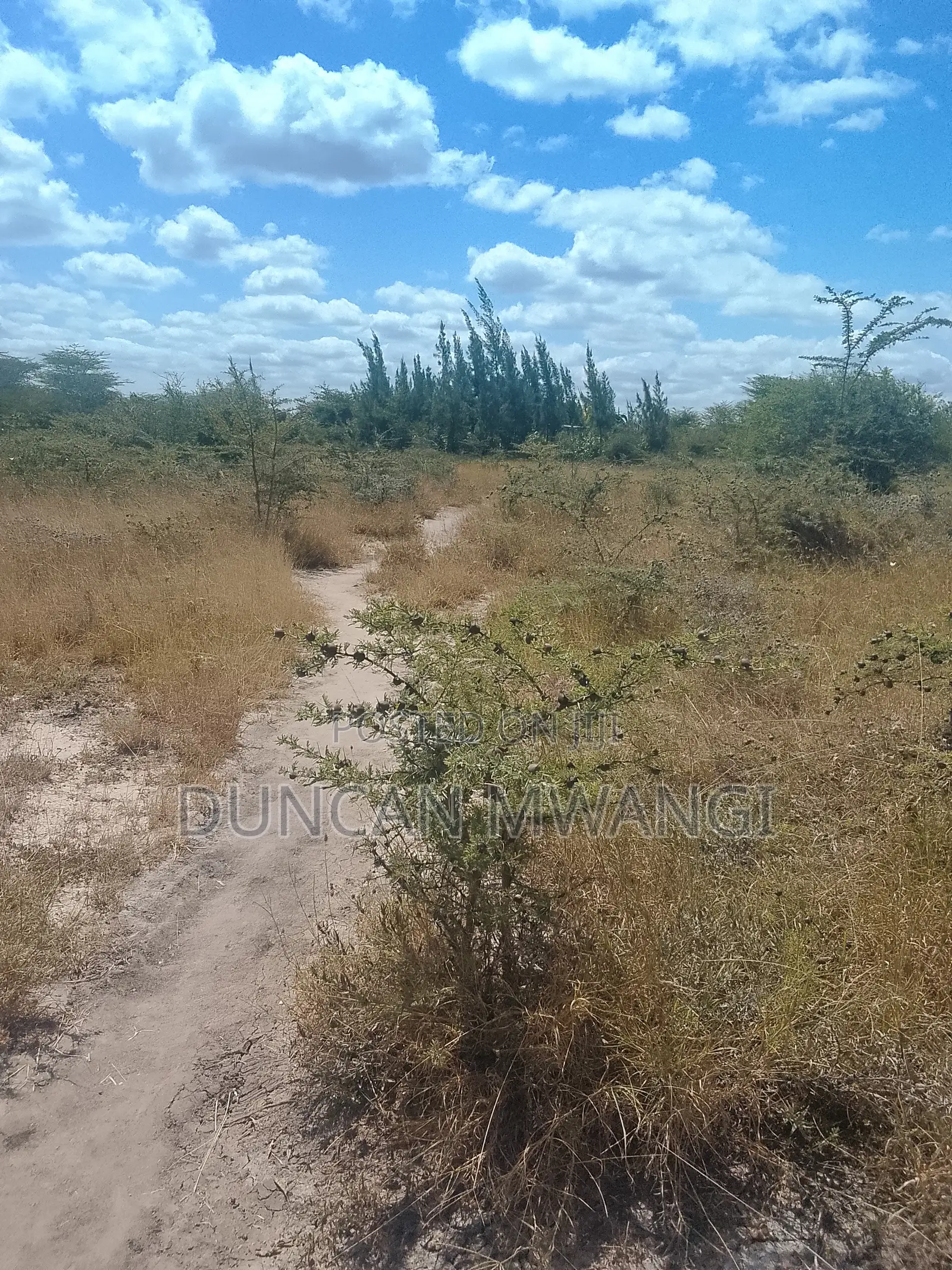 1/2 Acre Plot for Sale in Joska Ndovoini in Kangundo East