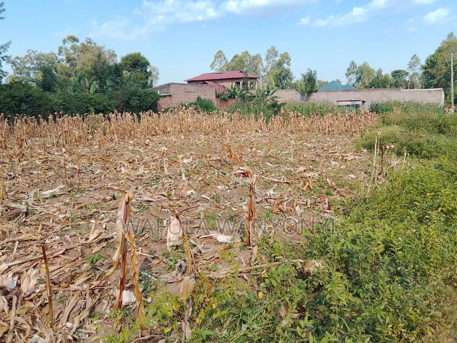 50 by 100 Burumba Busia Town in Burumba