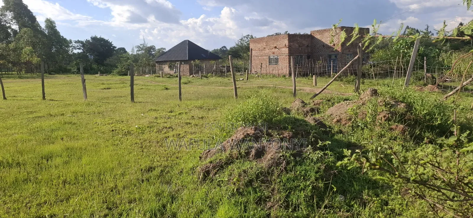 50 by 100 Sikata Bungoma in Khalaba (Kanduyi)