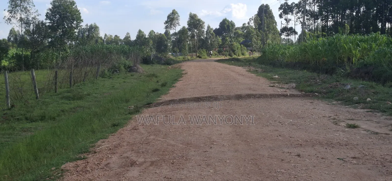 50 by 100 Sikata Bungoma in Khalaba (Kanduyi)