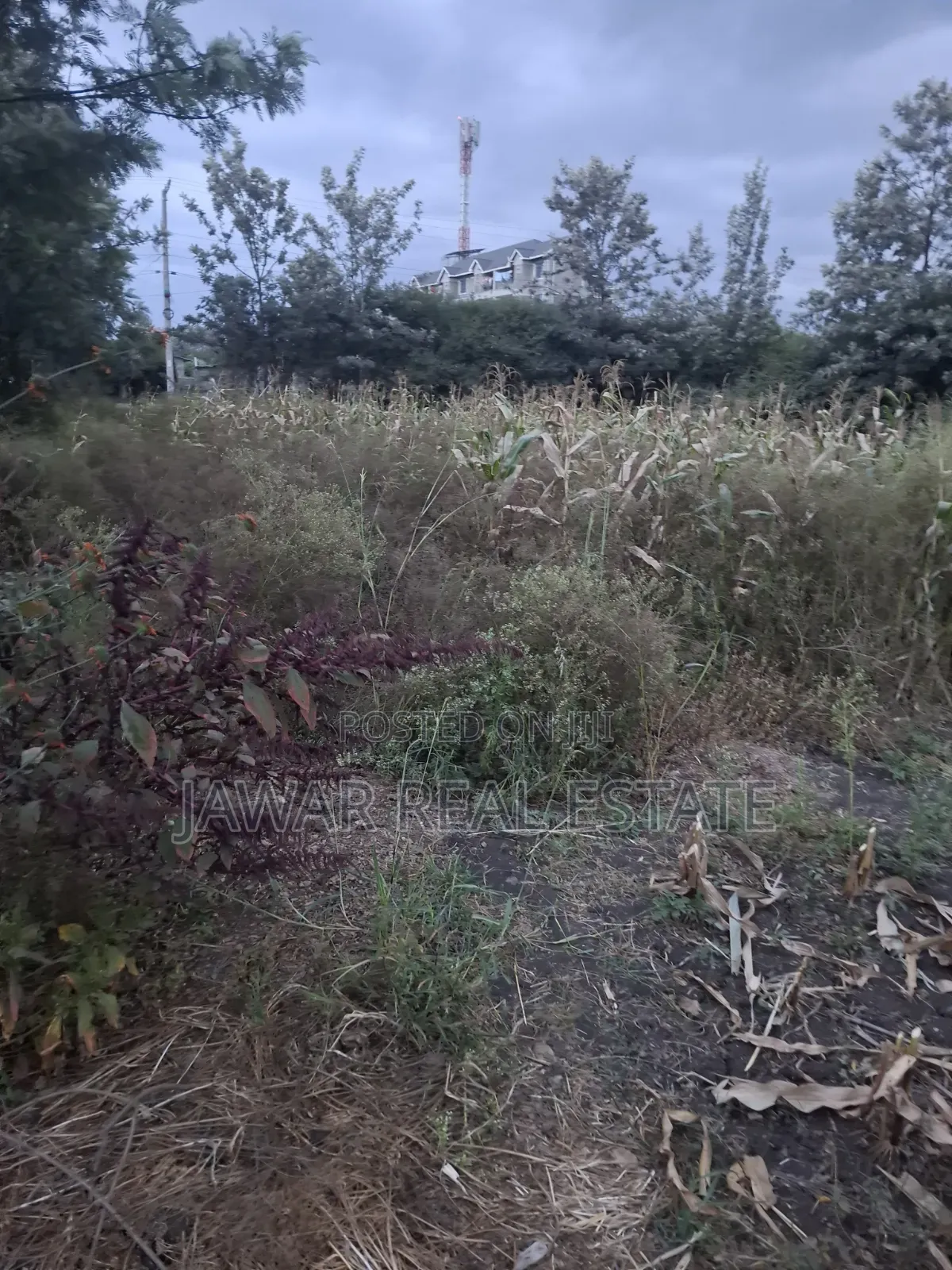 Plot for Sale in Ruai 26 in Ruai