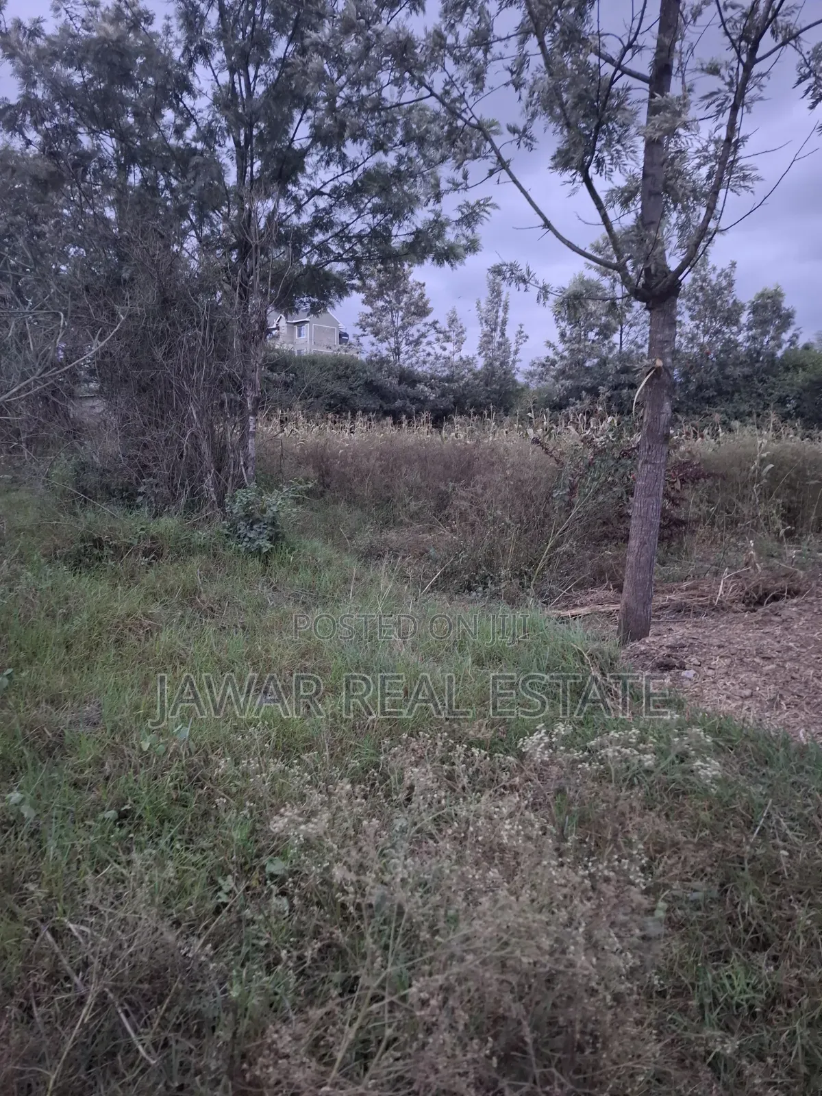Plot for Sale in Ruai 26 in Ruai