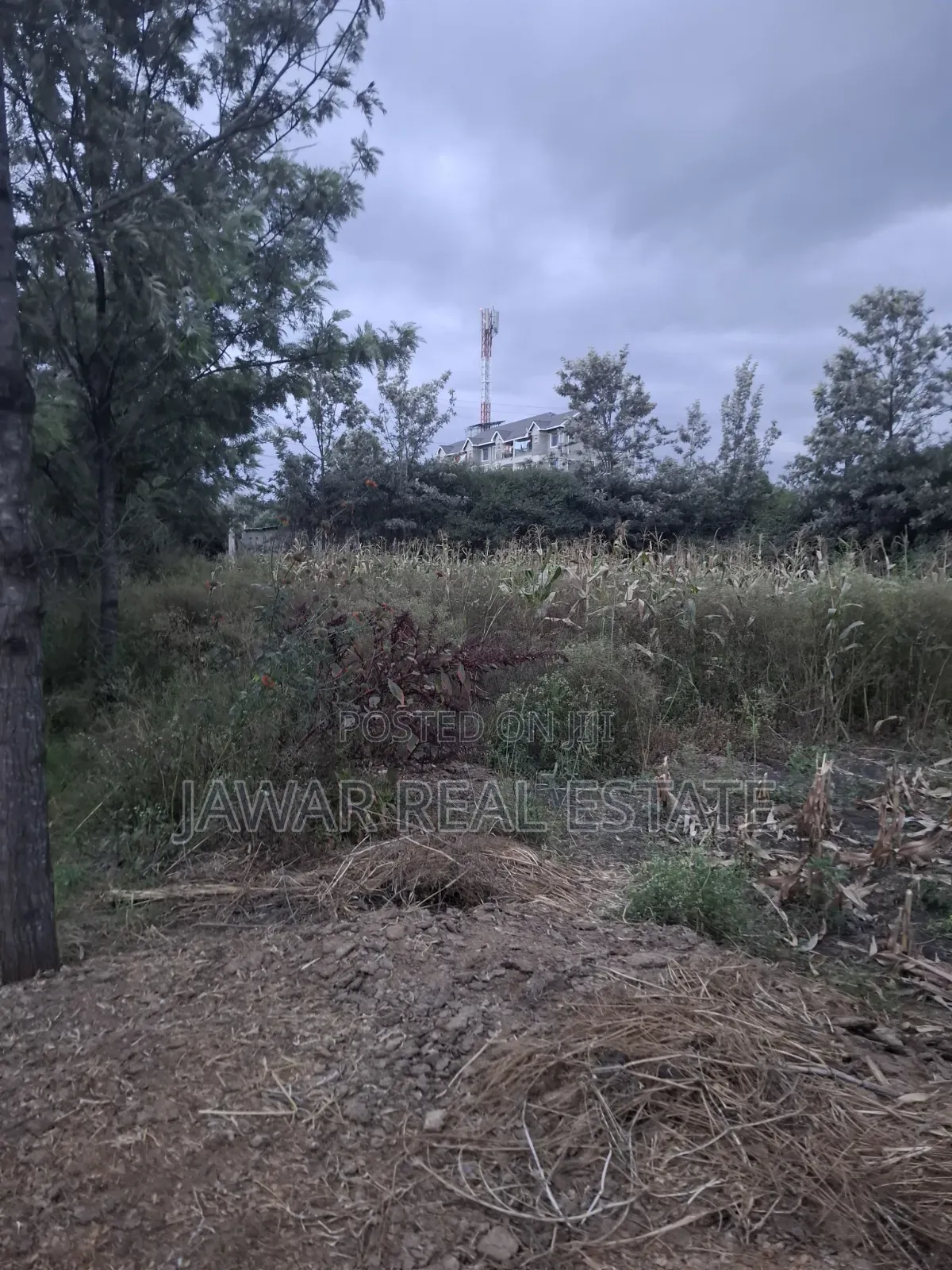 Plot for Sale in Ruai 26 in Ruai