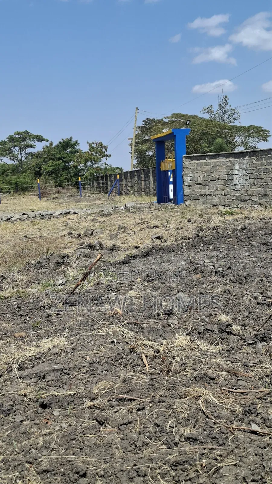 Jujafarm Town Jr in Kalimoni