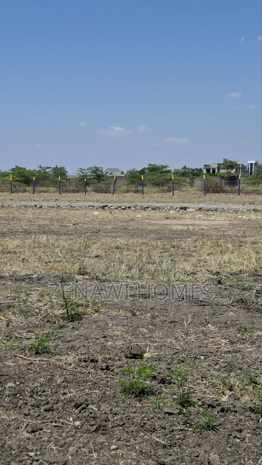 Jujafarm Town Jr in Kalimoni