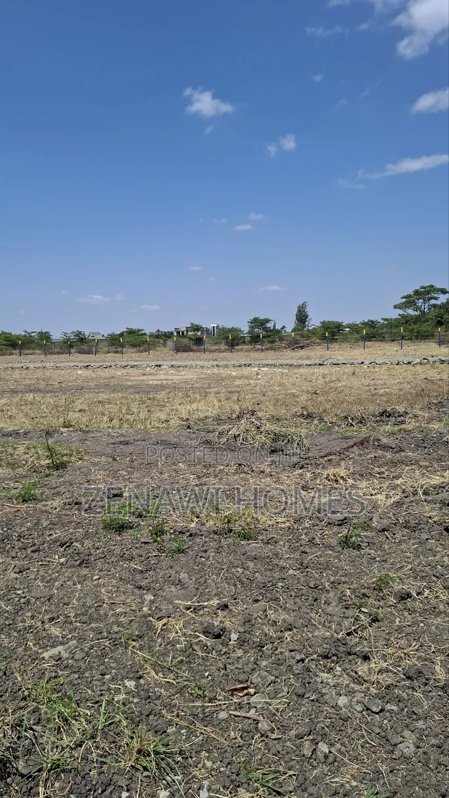 Jujafarm Town Jr in Kalimoni