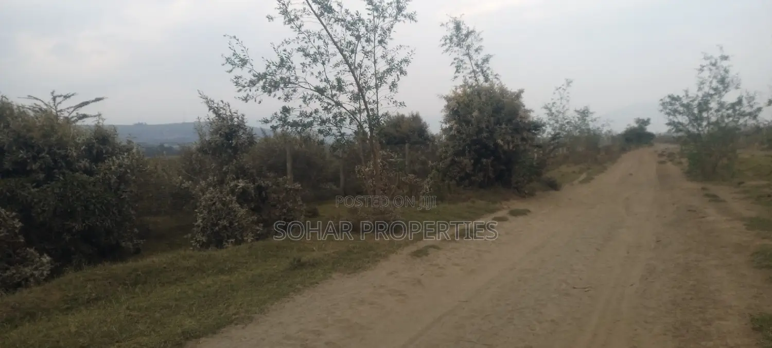 Longonot, Naivasha - 50x100 Plots on Sale in Naivasha