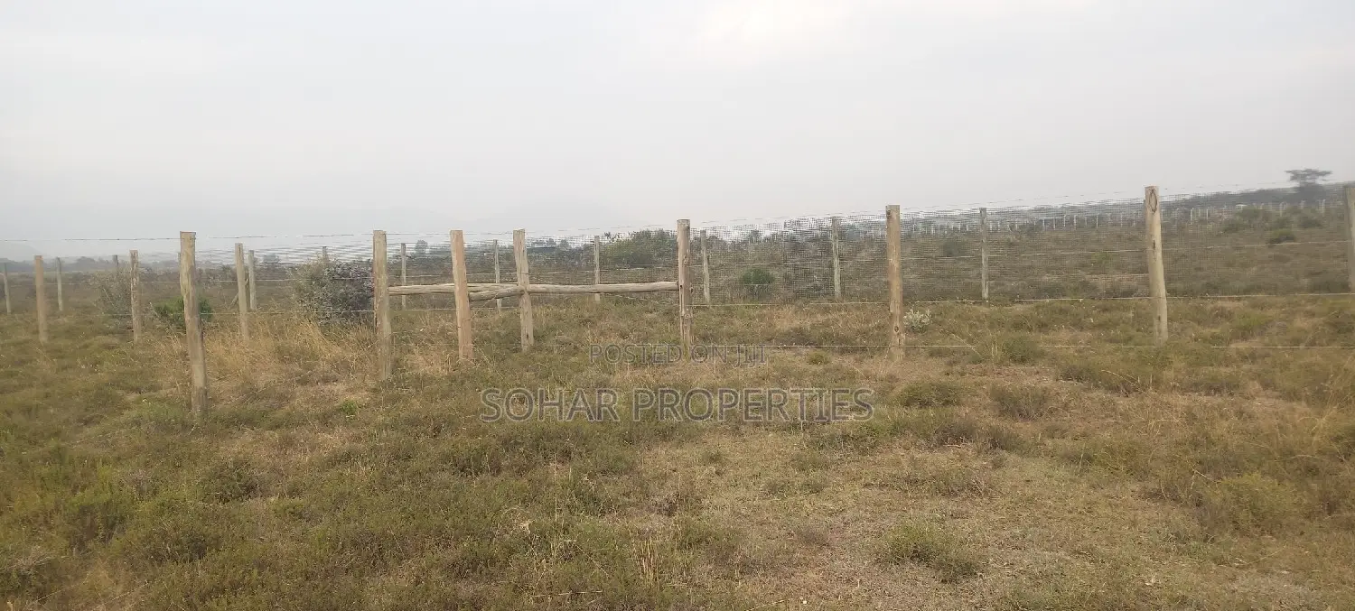 Longonot, Naivasha - 50x100 Plots on Sale in Naivasha