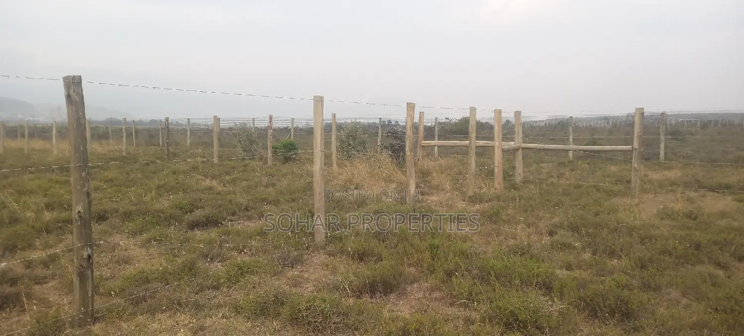 Longonot, Naivasha - 50x100 Plots on Sale in Naivasha