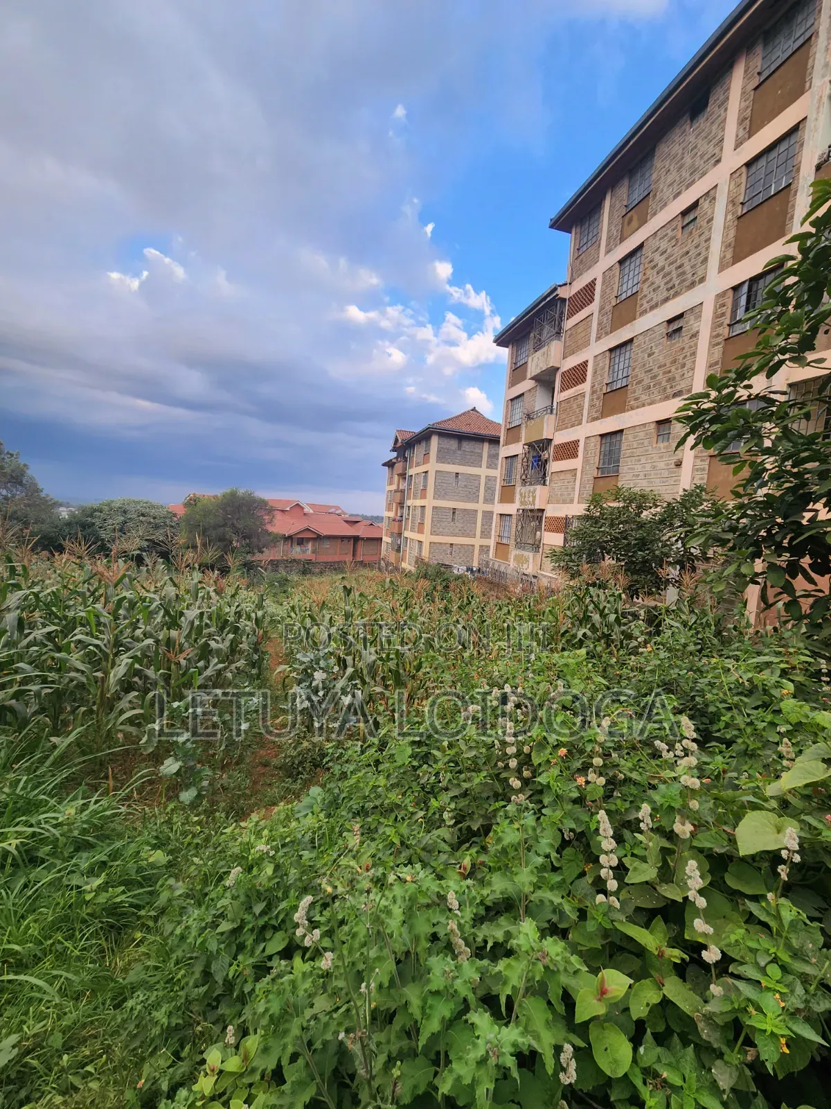 1⁄4 Acre Ngong Town (For Apartments) in Ngong CBD