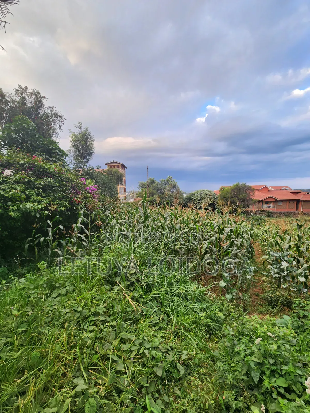 1⁄4 Acre Ngong Town (For Apartments) in Ngong CBD