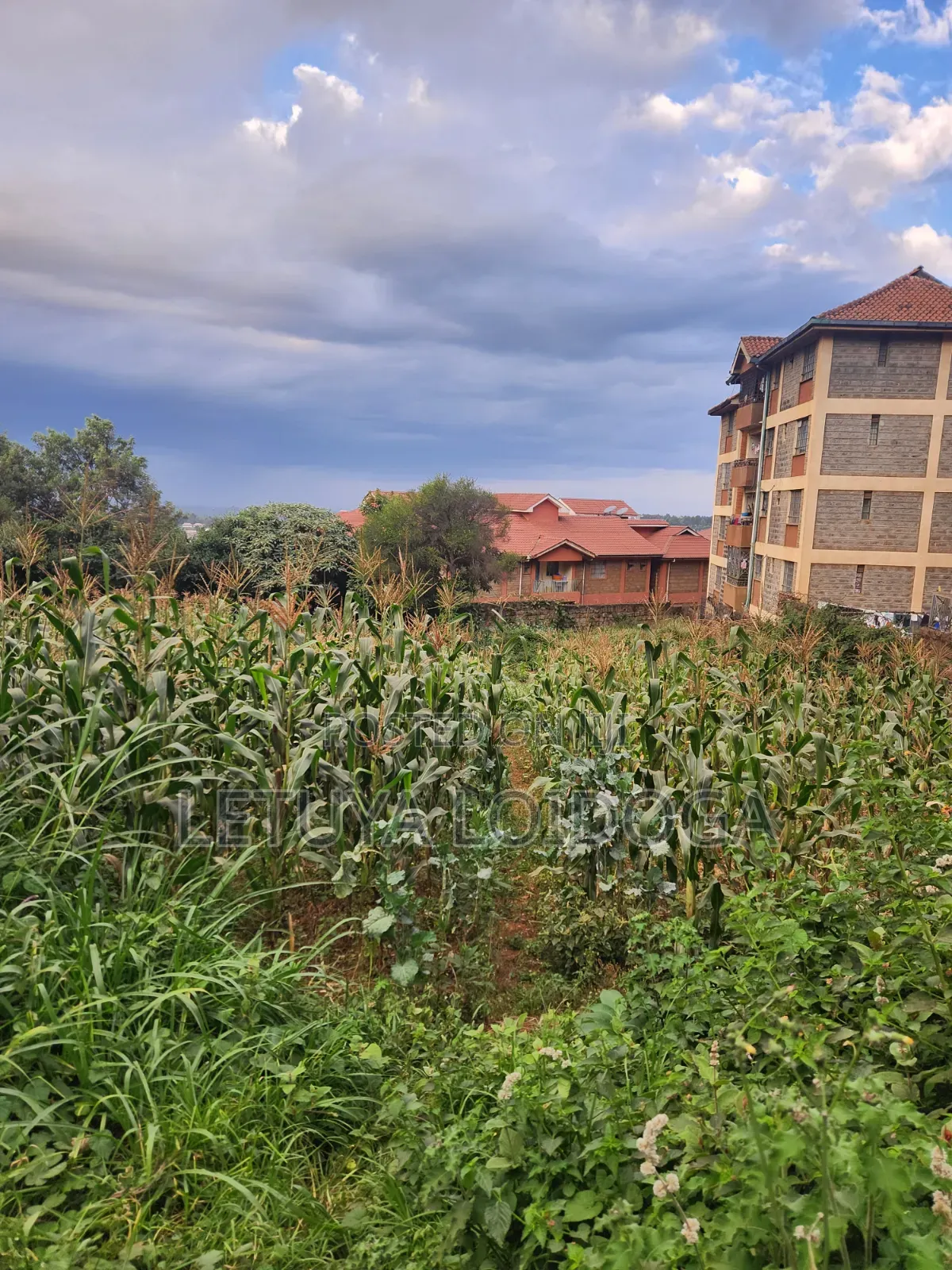 1⁄4 Acre Ngong Town (For Apartments) in Ngong CBD