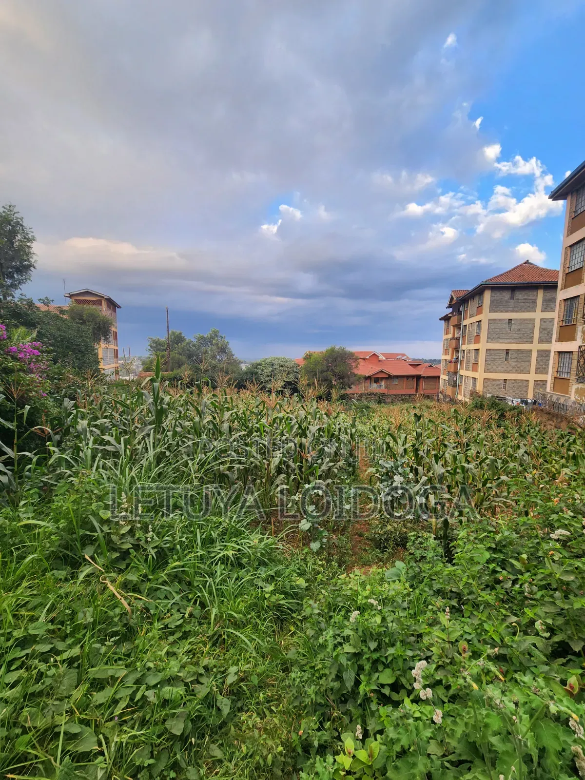 1⁄4 Acre Ngong Town (For Apartments) in Ngong CBD