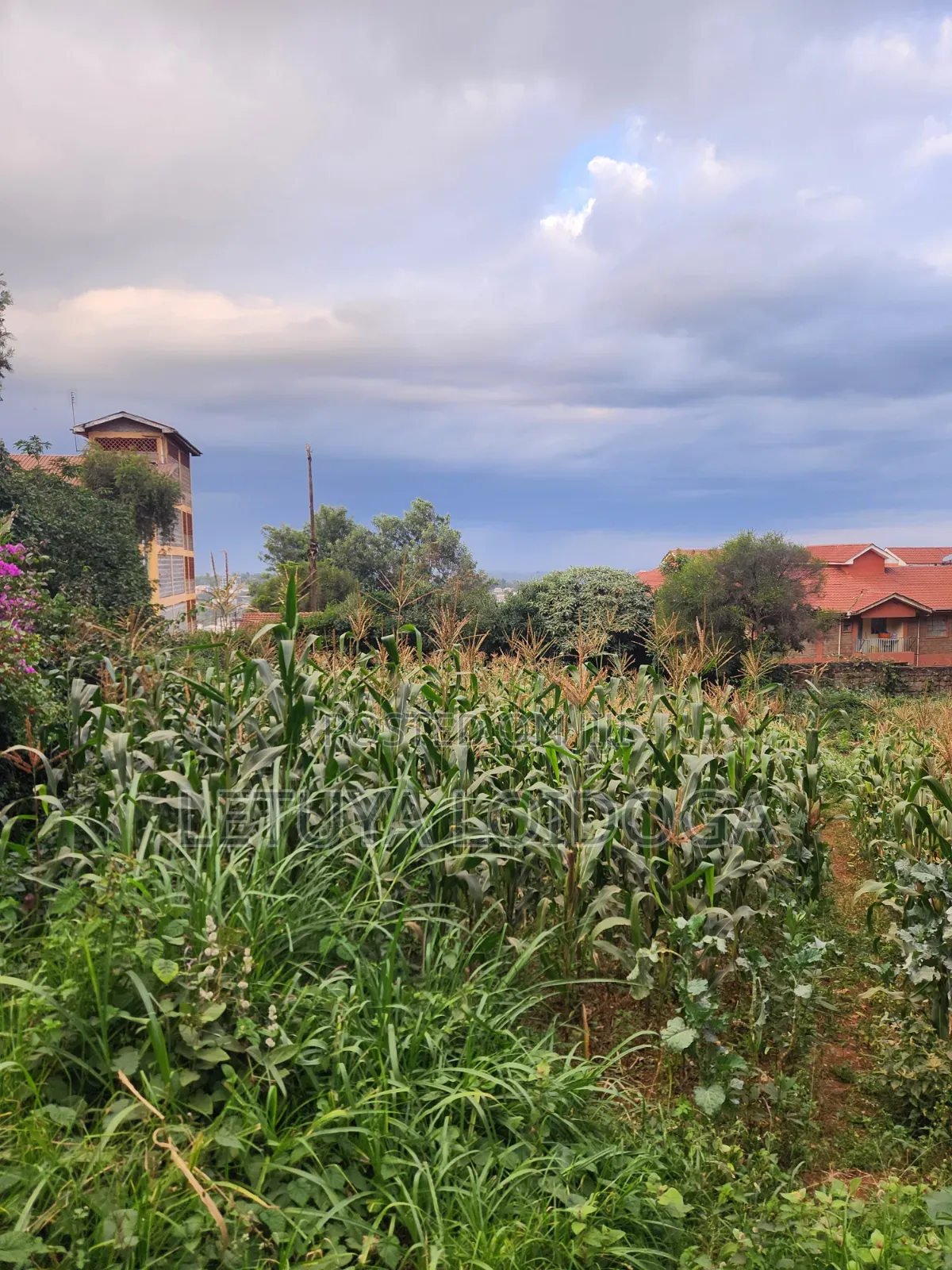 1⁄4 Acre Ngong Town (For Apartments) in Ngong CBD
