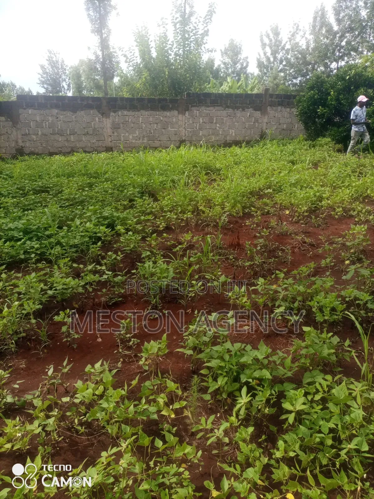2 Acres Quick Sale Sagana Kirinyaga in Kerugoya