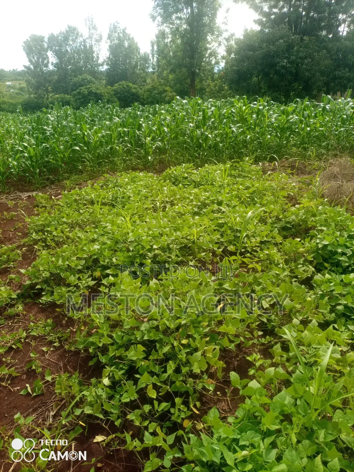 2 Acres Quick Sale Sagana Kirinyaga in Kerugoya