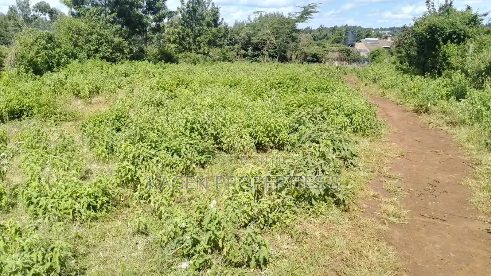 0.5 Acres in Kibiko Ngong for Sale in Kibiku