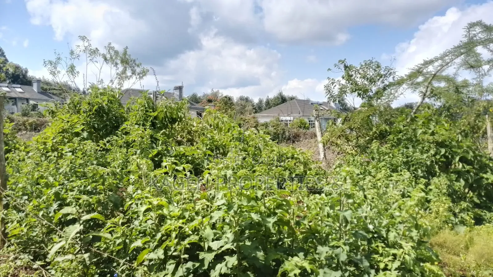 0.5 Acres in Kibiko Ngong for Sale in Kibiku