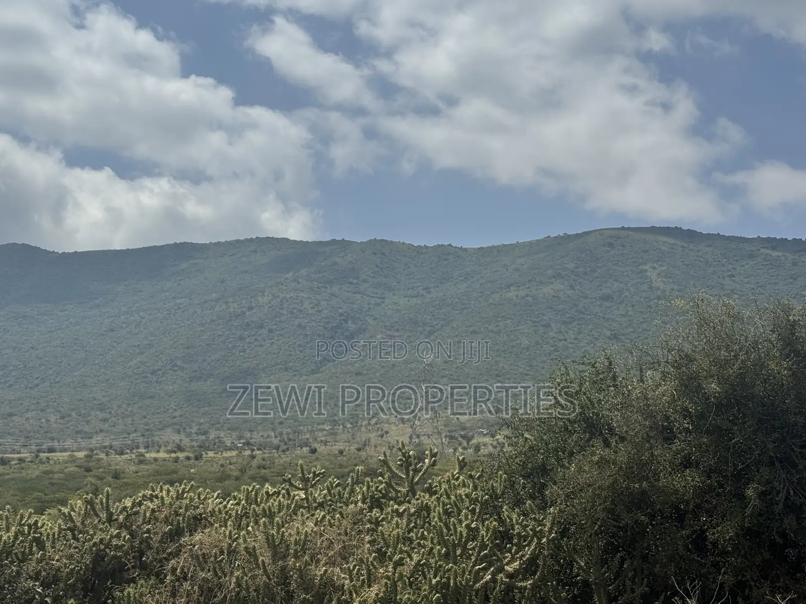 49 Acres Kisamis in Kiserian