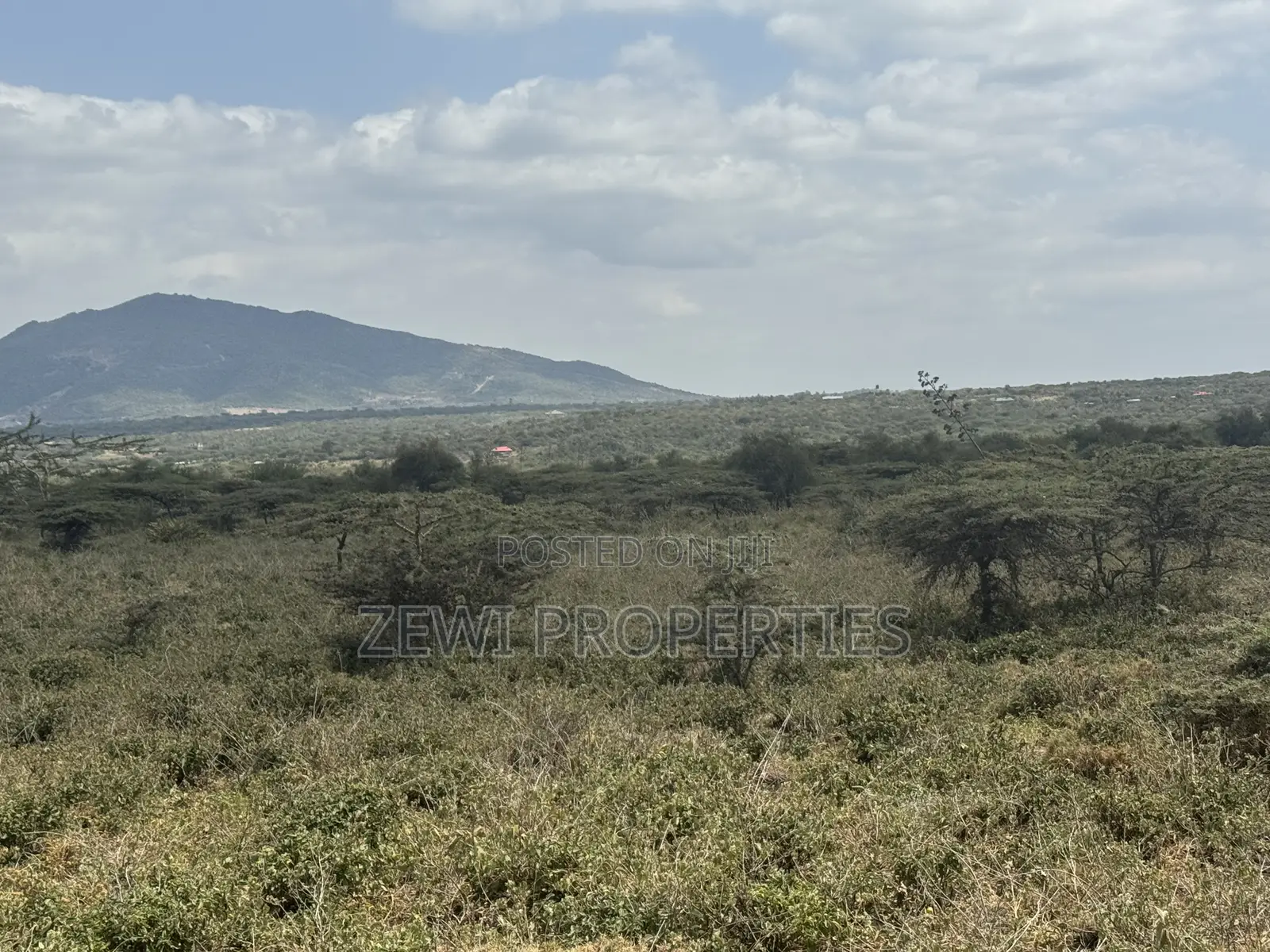 49 Acres Kisamis in Kiserian