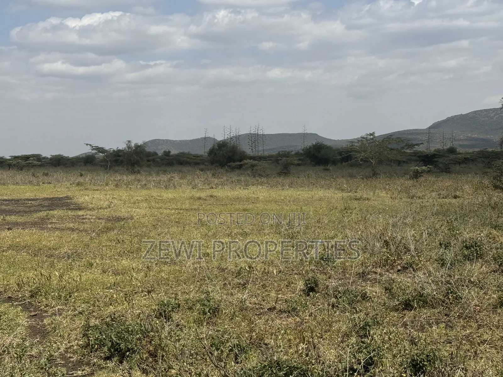 49 Acres Kisamis in Kiserian