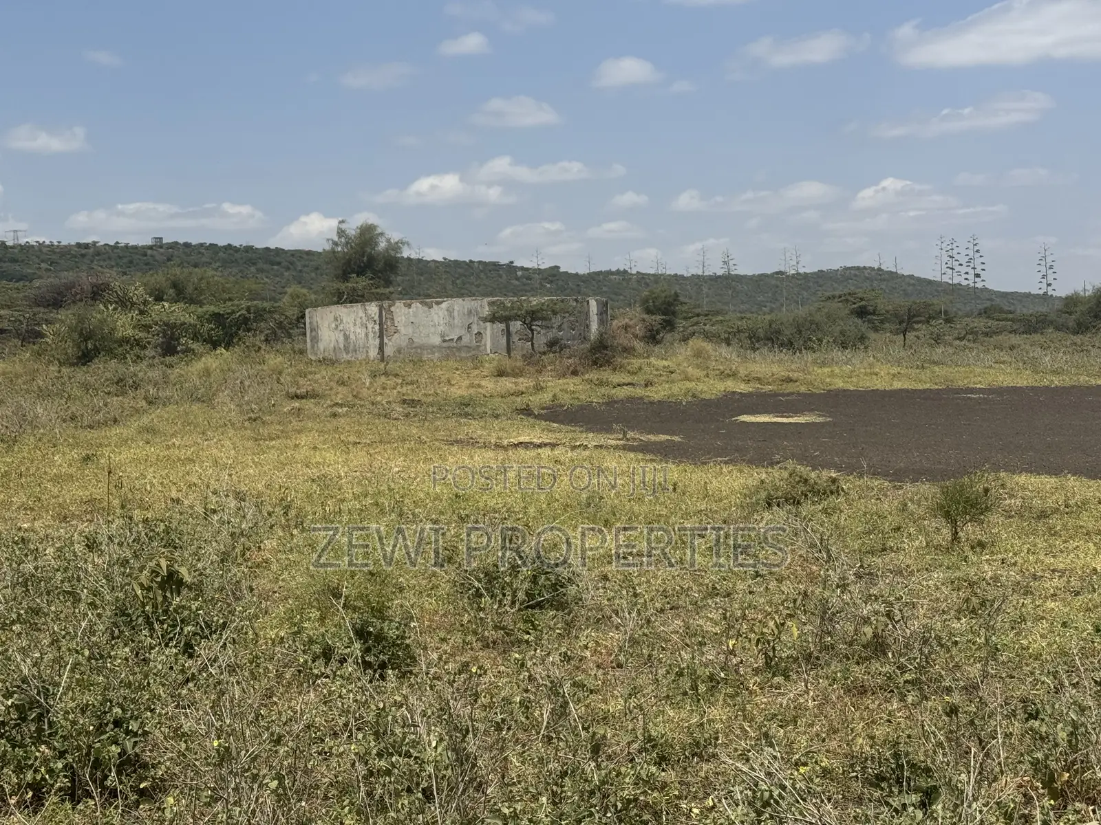49 Acres Kisamis in Kiserian