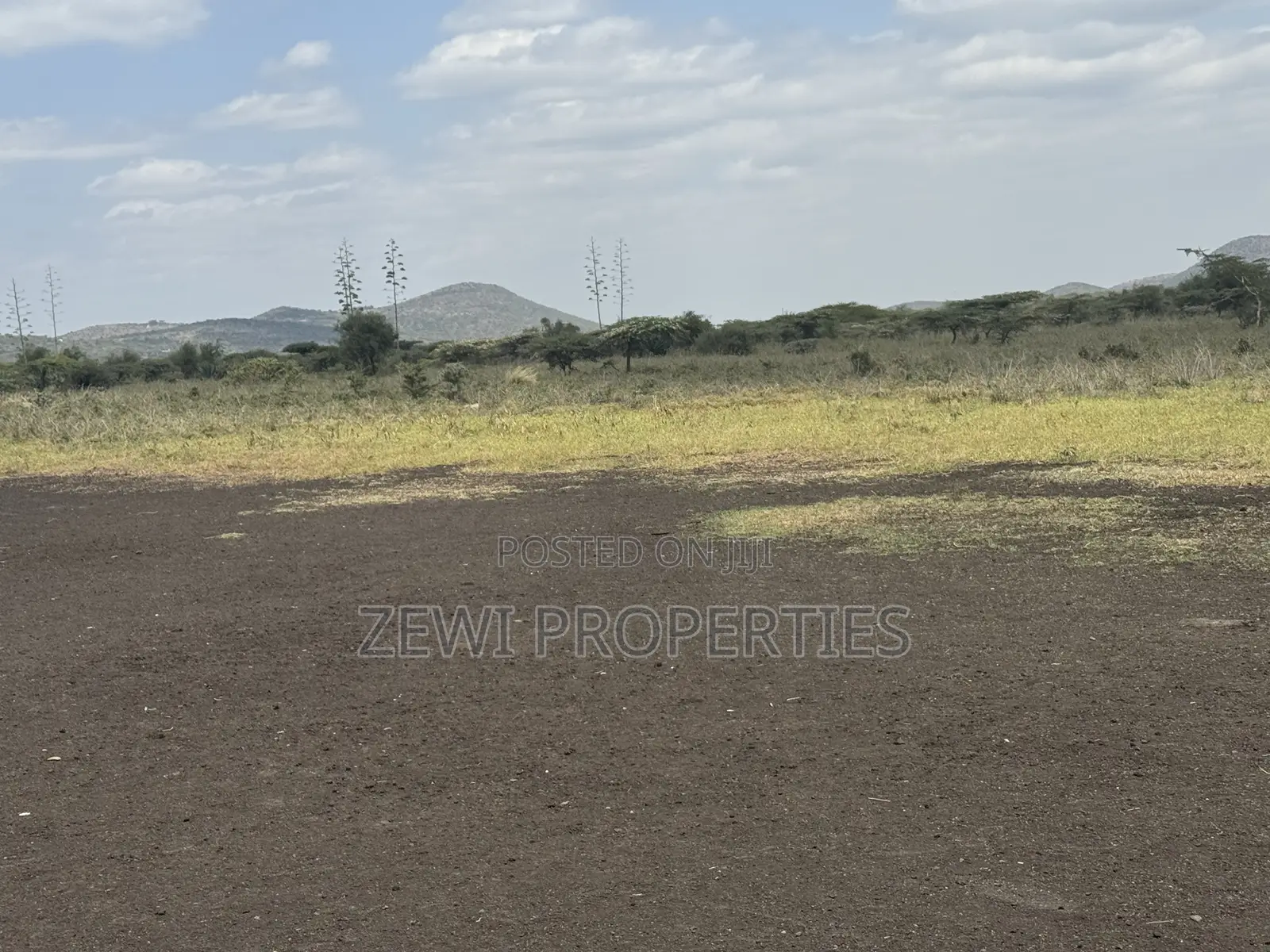49 Acres Kisamis in Kiserian