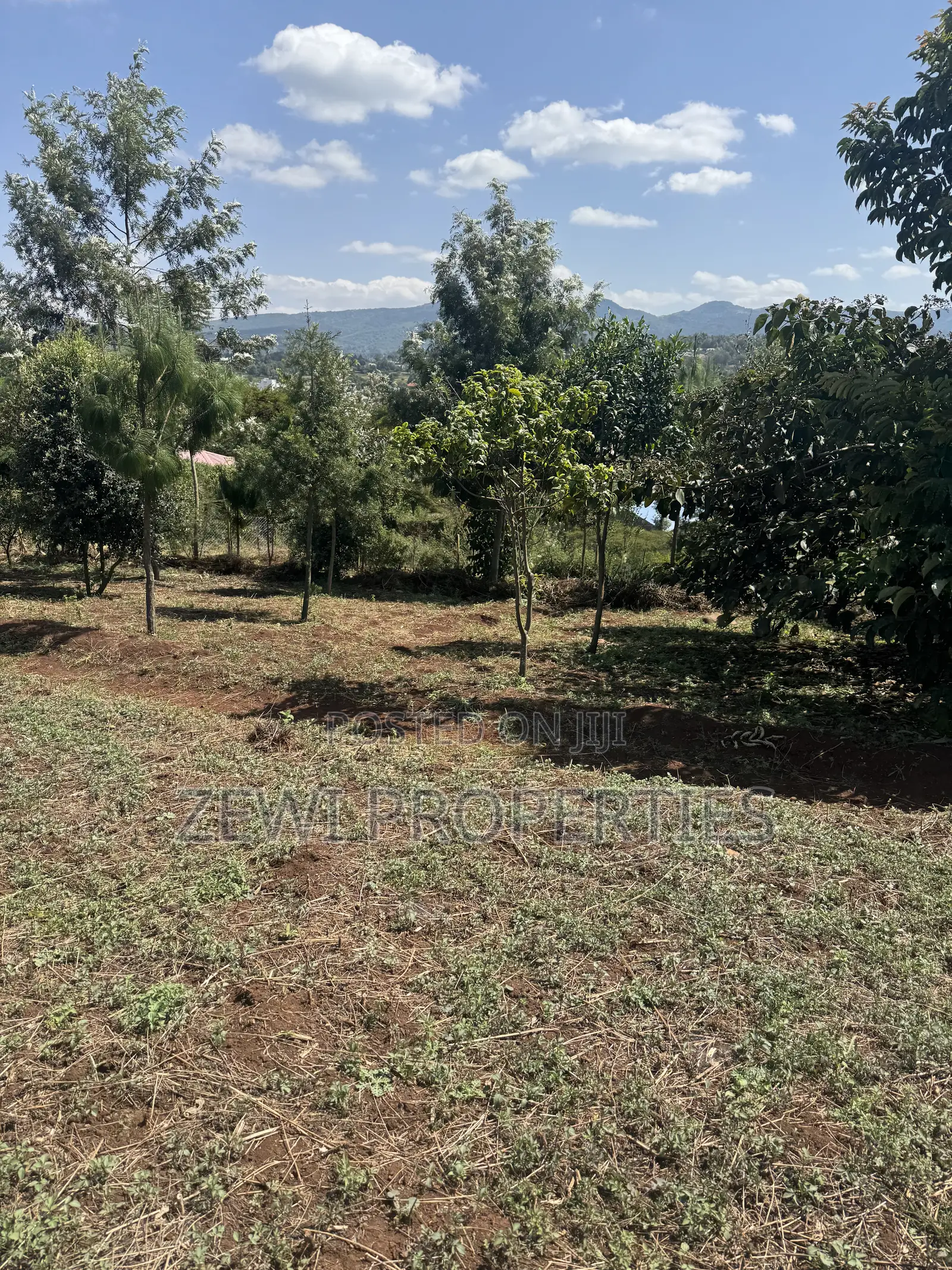 Half Acre Matasia in Matasia
