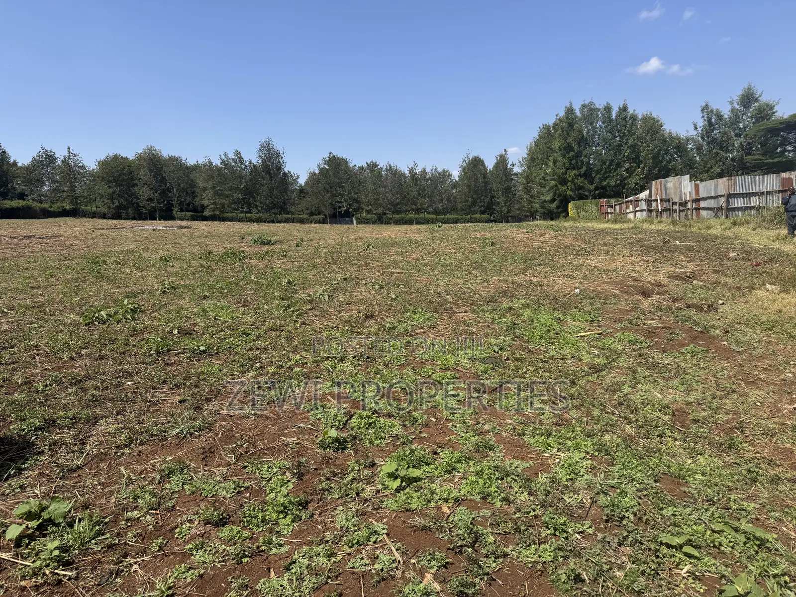 Half Acre Matasia in Matasia