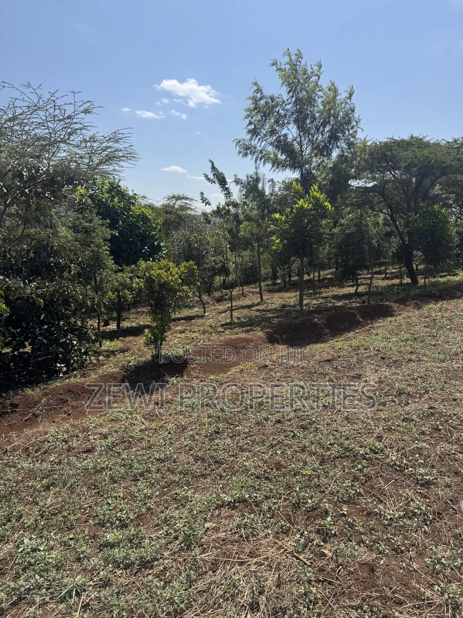 Half Acre Matasia in Matasia