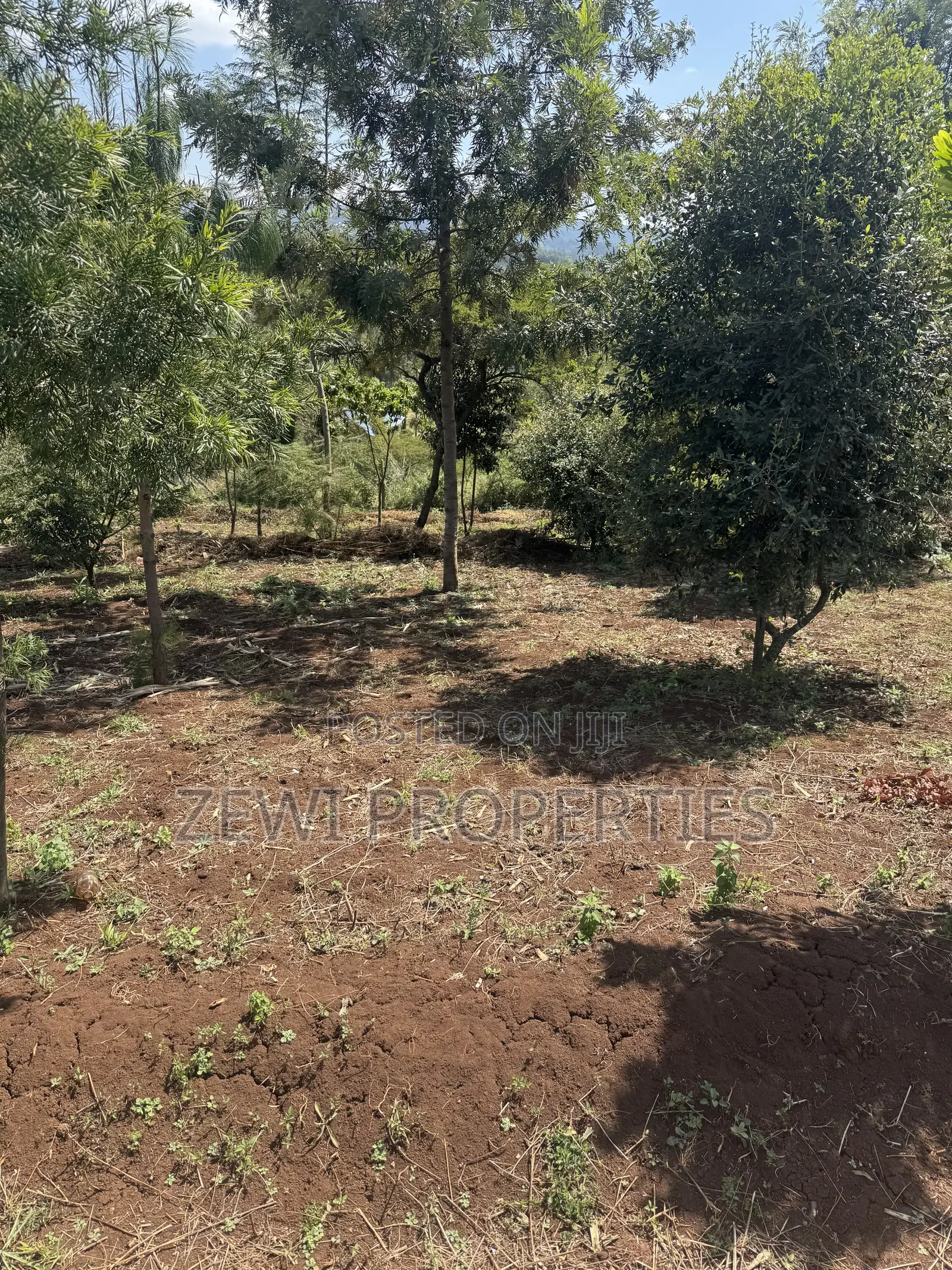 Half Acre Matasia in Matasia