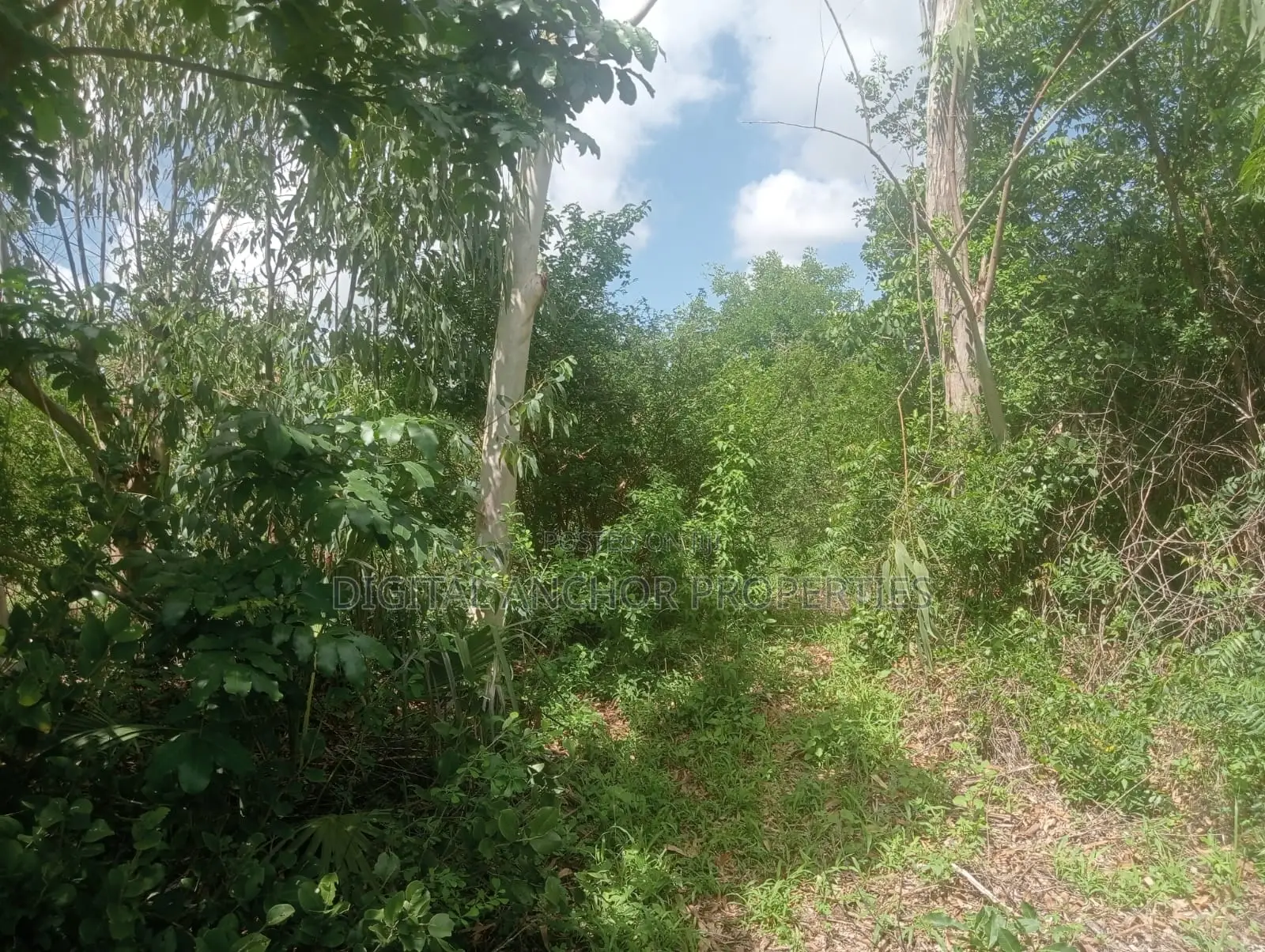 Sale 5 Acre Prime Land Lamu in Lamu
