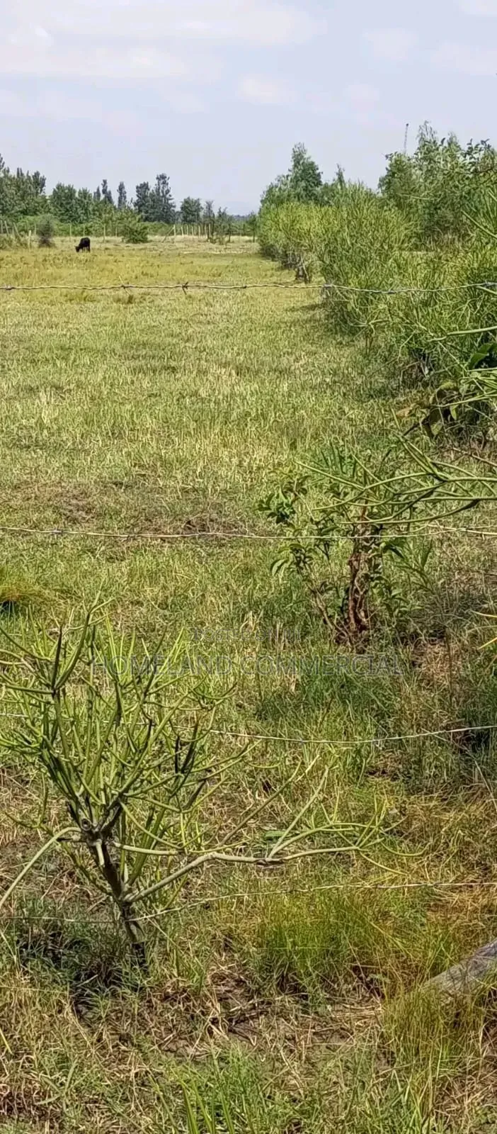 40 By 60 For Sale Juja in Witethie