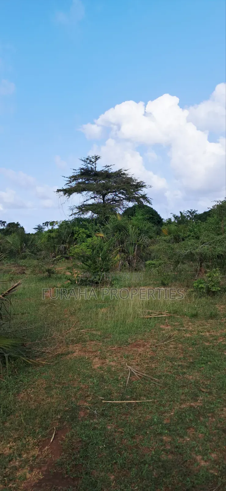 For Sale 6 Acres Land Tiwi South Coast in Tiwi
