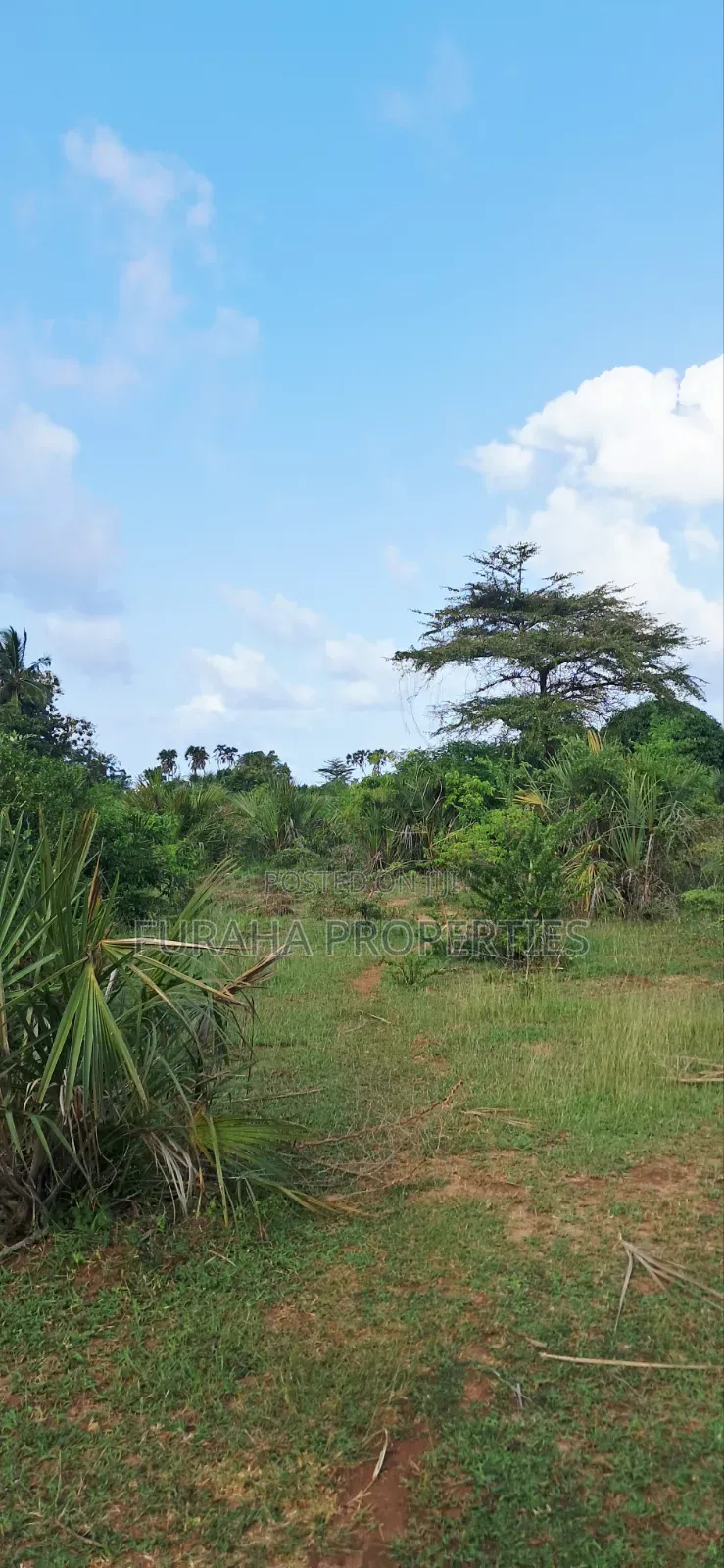 For Sale 6 Acres Land Tiwi South Coast in Tiwi