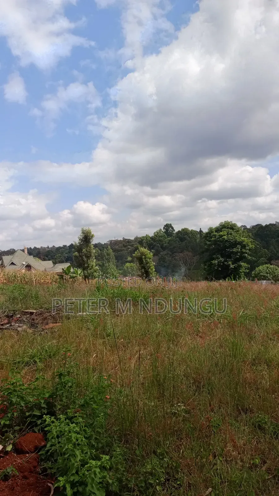 Muthithi-Njathaini Rd, Valley View Estate Opposite Kist, 1/2 Acre in Thindigua/Kasarini