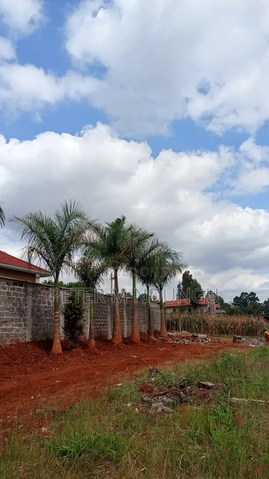 Muthithi-Njathaini Rd, Valley View Estate Opposite Kist, 1/2 Acre in Thindigua/Kasarini