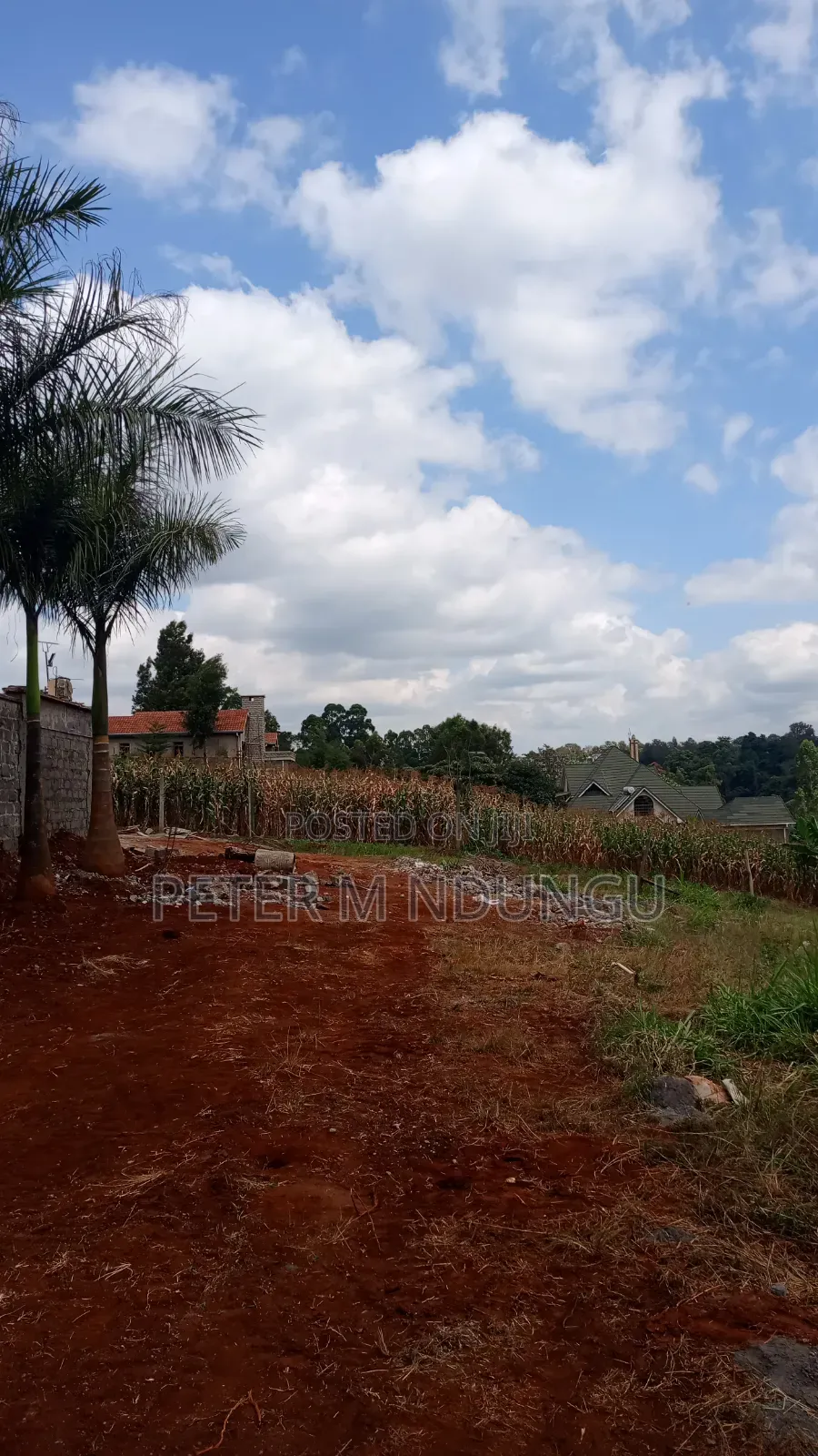 Muthithi-Njathaini Rd, Valley View Estate Opposite Kist, 1/2 Acre in Thindigua/Kasarini